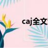 caj全文浏览器（caj文件浏览器）