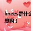 knees是什么意思怎么读音（knees是什么意思啊）