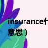 insurance什么意思中文（insurance是什么意思）