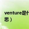 venture是什么意思翻译（venture是什么意思）