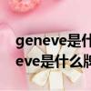 geneve是什么牌子手表价格图片带钻（geneve是什么牌子手表）