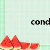 conditioner（condition）