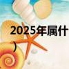 2025年属什么生肖金鼠（2025年属什么生肖）
