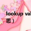 lookup value是什么意思（value是什么意思）