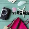 ssl啥意思（网络ssld是什么意思）