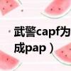 武警capf为什么改成pap（武警capf为啥改成pap）
