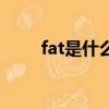 fat是什么意思（fat是什么意思啊）