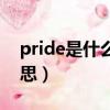 pride是什么意思中文翻译（pride是什么意思）