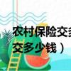 农村保险交多少钱每月发3000元（农村保险交多少钱）