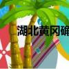 湖北黄冈确诊轨迹（黄冈确诊1002例）