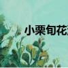 小栗旬花泽类壁纸（小栗旬花泽类）