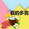 载的多音字组词（圈的多音字组词）