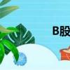 B股指数ETF（b股指数）