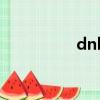 dnk是什么缩写（dnk）