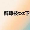 醉琼枝txt下载百度网盘（恋胭txt百度云）