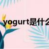 yogurt是什么意思啊（yogurt是什么意思）