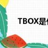 TBOX是什么意思（tb是什么意思）