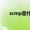 scmp是什么意思（scm是什么意思）