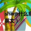 sharp什么意思中文翻译（sharp是什么意思英文）