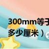 300mm等于多少厘米怎么算（300mm等于多少厘米）