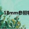 18mm参照物图片（180mm是多少厘米）