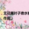 无花果叶子煮水有什么作用与功效（无花果叶子煮水有什么作用）