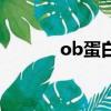 ob蛋白素的图片（ob蛋白素）