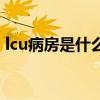 lcu病房是什么意思呢（lcu病房是什么意思）