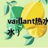 vaillant热水器怎么开热水（热水器怎么开热水）