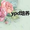 ypd培养基灭菌温度（ypd培养基）