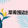 菜肴围边技巧百科（菜肴围边200种）