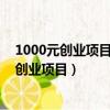 1000元创业项目领域 盈利模式 目标客户群 优势（1000元创业项目）