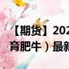 【期货】2024年08月03日代码（GF）名称（育肥牛）最新实时数据