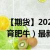 【期货】2024年08月04日代码（GF）名称（育肥牛）最新实时数据