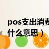 pos支出消费是什么意思呀（pos支出消费是什么意思）