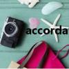 accordance with（accordance）