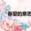 春望的意思是什么?（春望是什么意思）