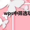 wps中筛选功能怎么用（wps筛选怎么用）