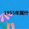 1955年属什么生肖（1954年属什么生肖）