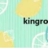 kingrootp（kingroot怎么用）