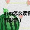 arm怎么读音发音英语怎么说呢（arm怎么读音发音）