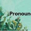 Pronounce怎么读谐音（pronoun）