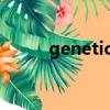 genetically翻译（genetically）