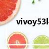 vivoy53l手机参数（vivoy53l参数）