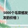 5000个毛囊植发的价格哈尔滨碧 莲盛电话（5000个毛囊植发的价格）