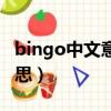 bingo中文意思是什么（bingo翻译成中文意思）