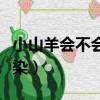 小山羊会不会传染新冠病毒（小山羊会不会传染）