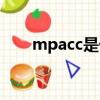 mpacc是什么专业（mpacc是什么）