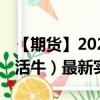 【期货】2024年08月21日代码（LE）名称（活牛）最新实时数据