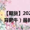 【期货】2024年08月22日代码（GF）名称（育肥牛）最新实时数据